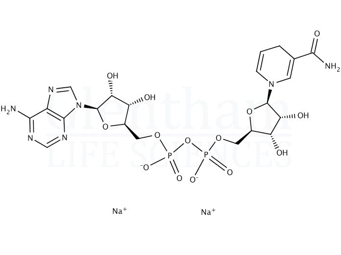 beta-Nicotinamide adenine dinucleotide reduced form, disodium salt Structure