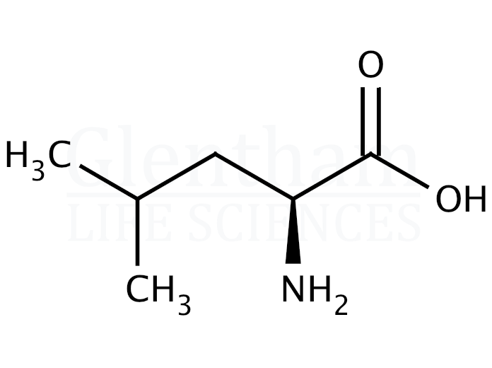 L-Leucine Structure