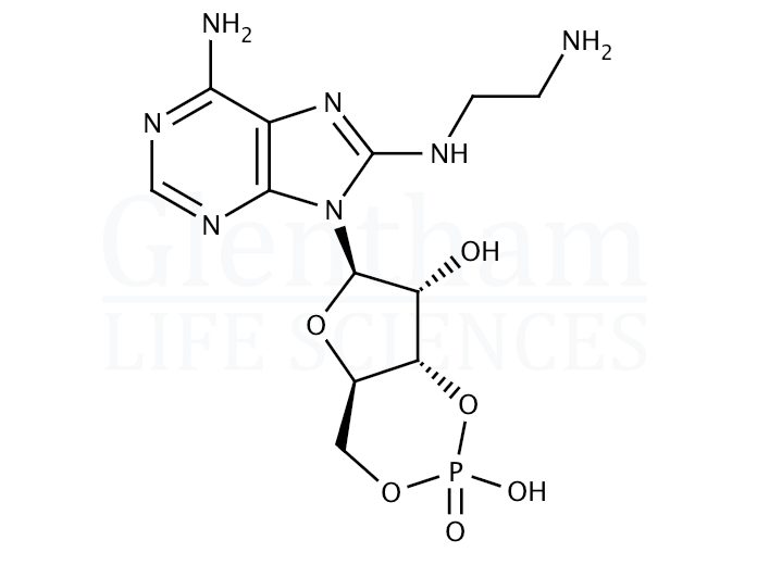 8-(2-Aminoethyl)aminoadenosine-3'',5''-cyclic monophosphate Structure