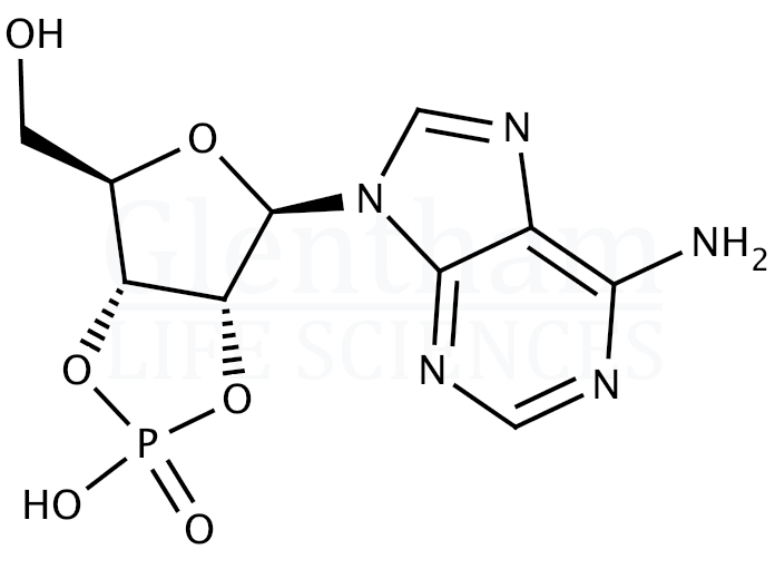 Adenosine 2'',3''-cyclic phosphate triethylammonium salt Structure