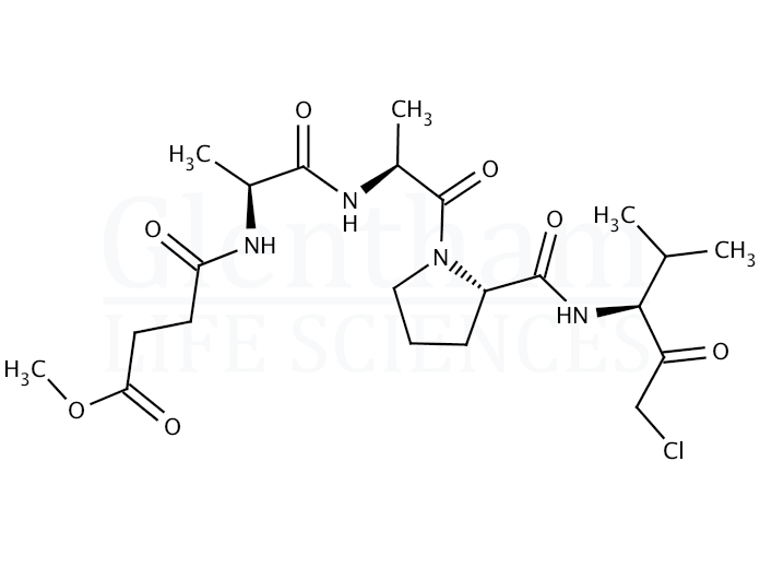 Structure for N-(Methoxysuccinyl)-Ala-Ala-Pro-Val-chloromethyl ketone elastase inhibitor