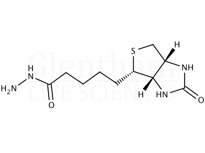 Structure for (+)-Biotin hydrazide