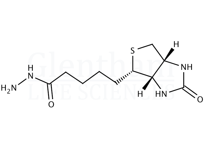 Strcuture for (+)-Biotin hydrazide