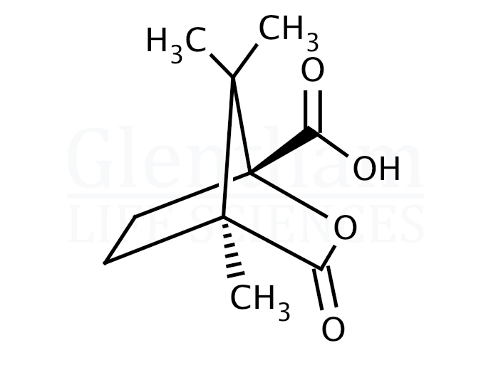 Structure for D-(1S,3R)-(-)-Camphoric acid