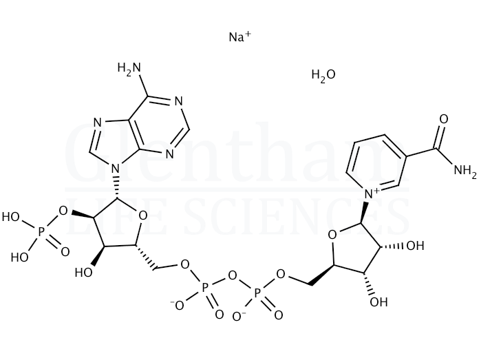 beta-Nicotinamide adenine dinucleotide phosphate sodium salt hydrate Structure