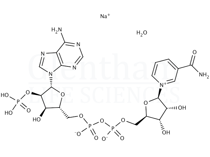 Structure for beta-Nicotinamide adenine dinucleotide phosphate sodium salt hydrate