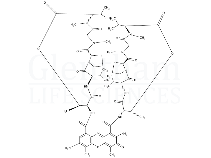 Structure for 7-Aminoactinomycin D