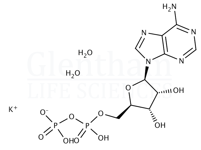Large structure for  Adenosine 5''-diphosphate potassium salt hydrate  (72696-48-1)