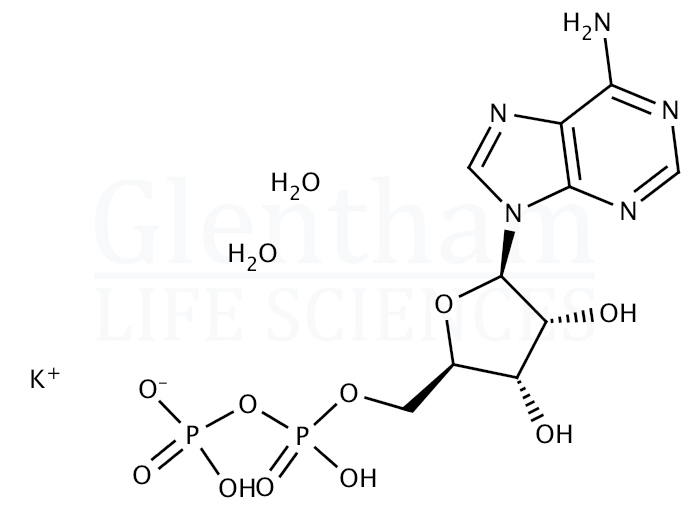 Structure for  Adenosine 5''-diphosphate potassium salt hydrate  (72696-48-1)