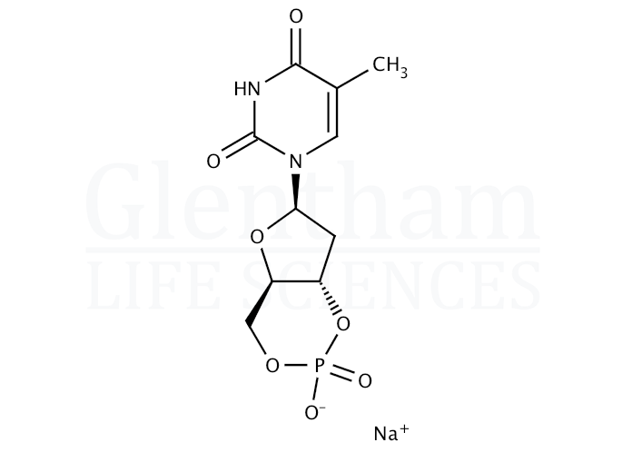 Structure for Thymidine 3′:5′-cyclic monophosphate sodium salt