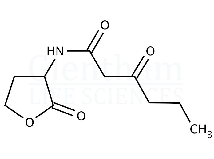N-(Ketocaproyl)-L-homoserine lactone Structure