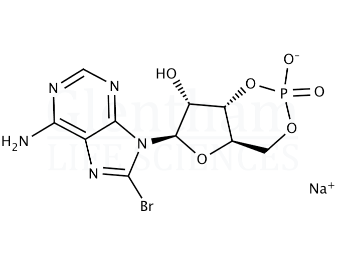 Structure for 8-Bromoadenosine 3'',5''-cyclic monophosphate sodium salt
