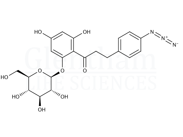 Structure for 4-Azidophlorizin
