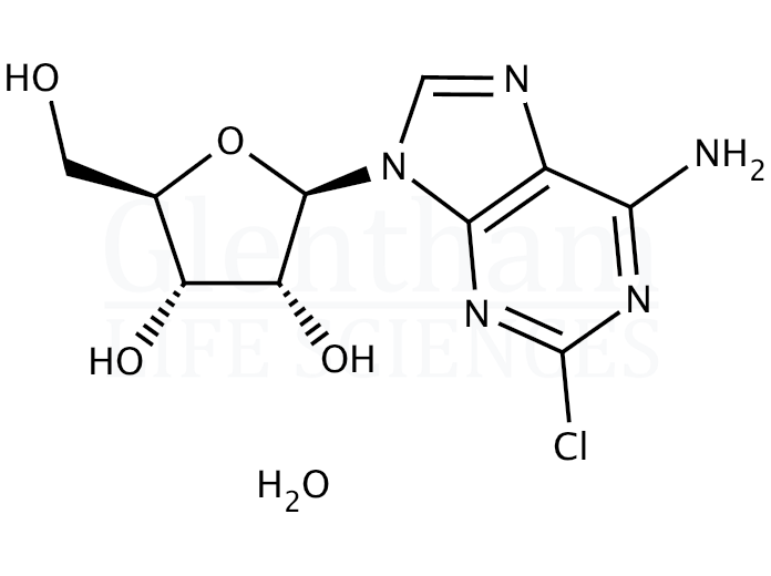 Structure for 2-Chloroadenosine hemihydrate