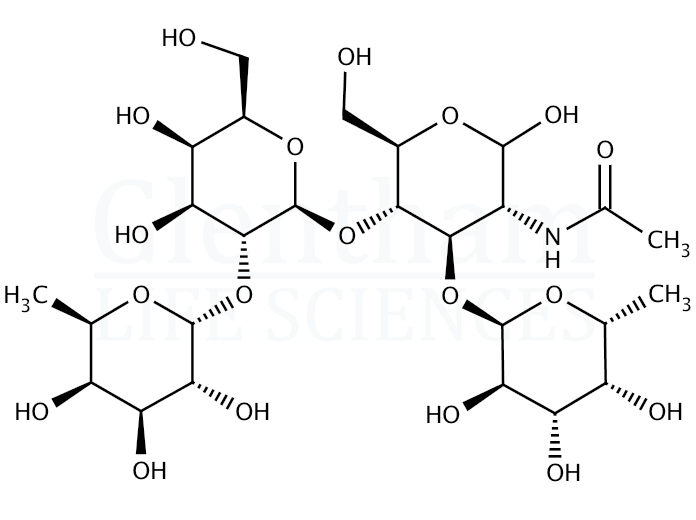 Lewis Y tetrasaccharide Structure