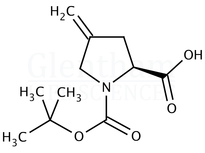 N-Boc-4-methylene-L-proline  Structure