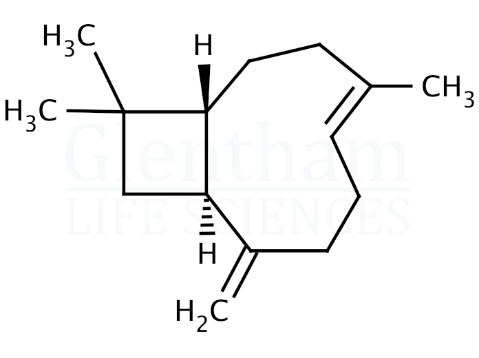 (-)-trans-Caryophyllene Structure
