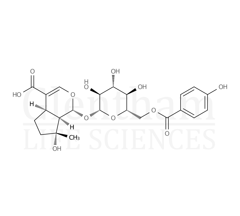 6′-(p-Hydroxybenzoyl)mussaenosidic acid Structure