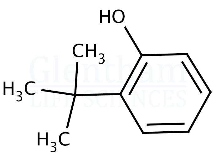 Structure for 2-tert-Butylphenol 