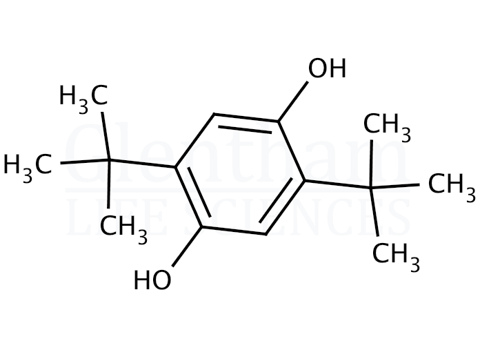 Structure for  2,5-Di-tert-butylhydroquinone  (88-58-4)