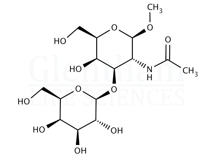 N-Acetyl-3-O-β-D-galactopyranosyl-β-D-galactosamine methyl glycoside Structure