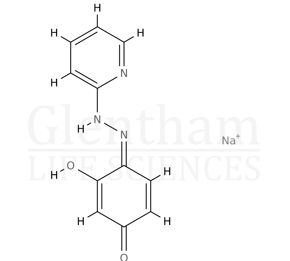 Structure for Lipase from Aspergillus niger