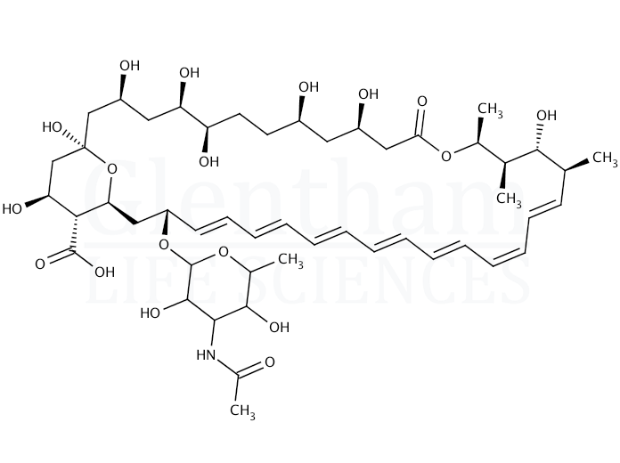 Large structure for N-Acetyl amphotericin B (902457-23-2)