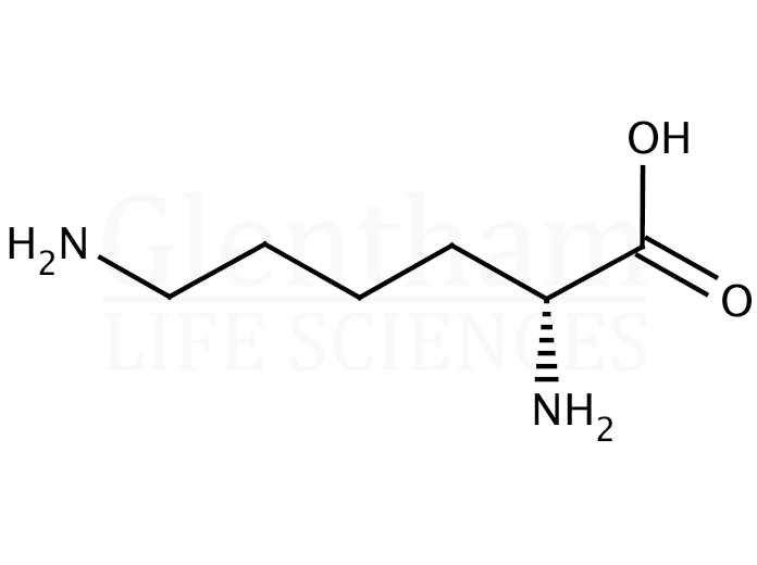 Large structure for D-Lysine (923-27-3)