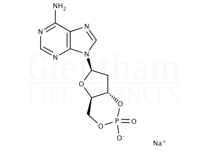 Structure for 2′-Deoxyadenosine 3′:5′-cyclic monophosphate sodium salt