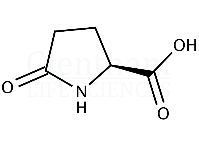 Structure for L-Pyroglutamic acid (98-79-3)