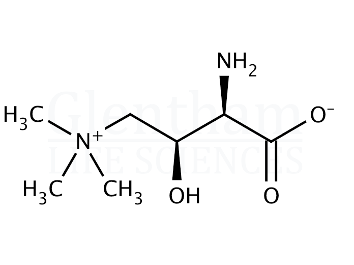 Structure for (R)-Amino carnitine (98063-21-9)
