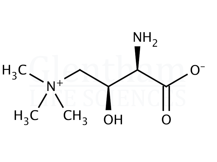 Structure for (R)-Amino carnitine